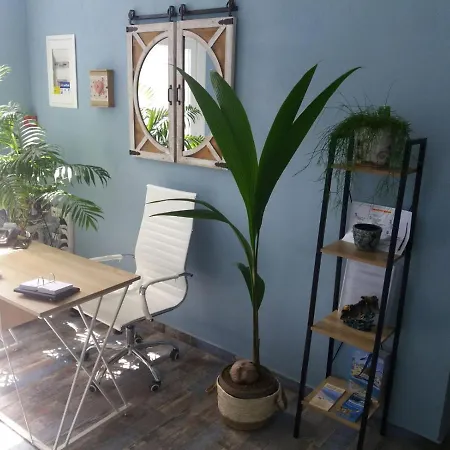 아파트호텔 Boutique Pelayo 렙토카리아