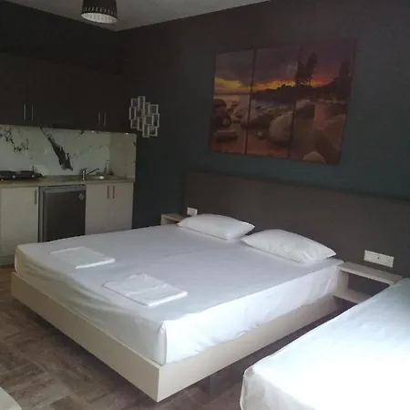 Boutique Pelayo 렙토카리아