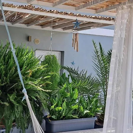 Boutique Pelayo 아파트호텔 렙토카리아