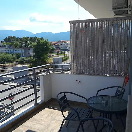 Boutique Pelayo 렙토카리아